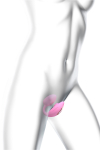 Double stimulateur Wonderlover rose - Love to Love Double stimulateur Wonderlover rose - Love to Love