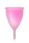 Eve Cup - coupe menstruelle Eve Cup - coupe menstruelle